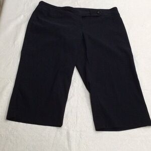 Lane Bryant Navy Button Back Pocket Button/Zipper Closure Cropped Capri Pant 16